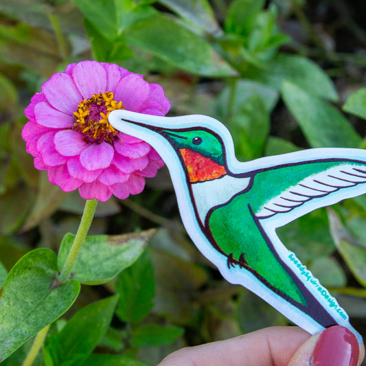 Ruby-Throated Hummingbird Holographic Sticker