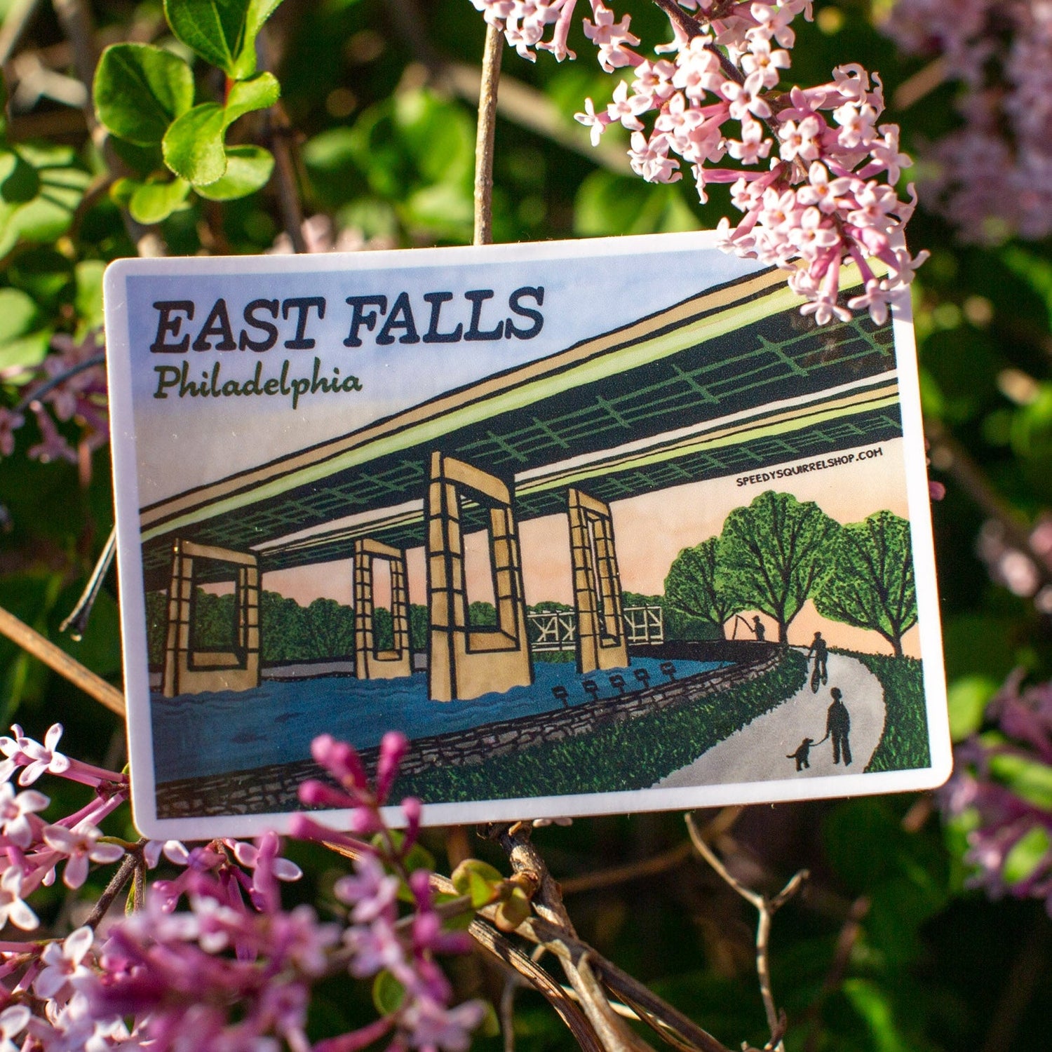 East Falls Twin Bridges