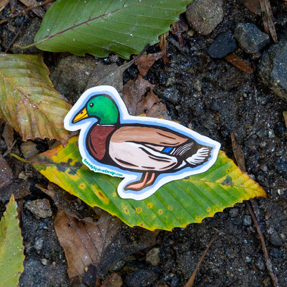 A die-cut sticker of a mallard duck resting on a green leaf over a natural ground background of soil, rocks, and dried leaves.