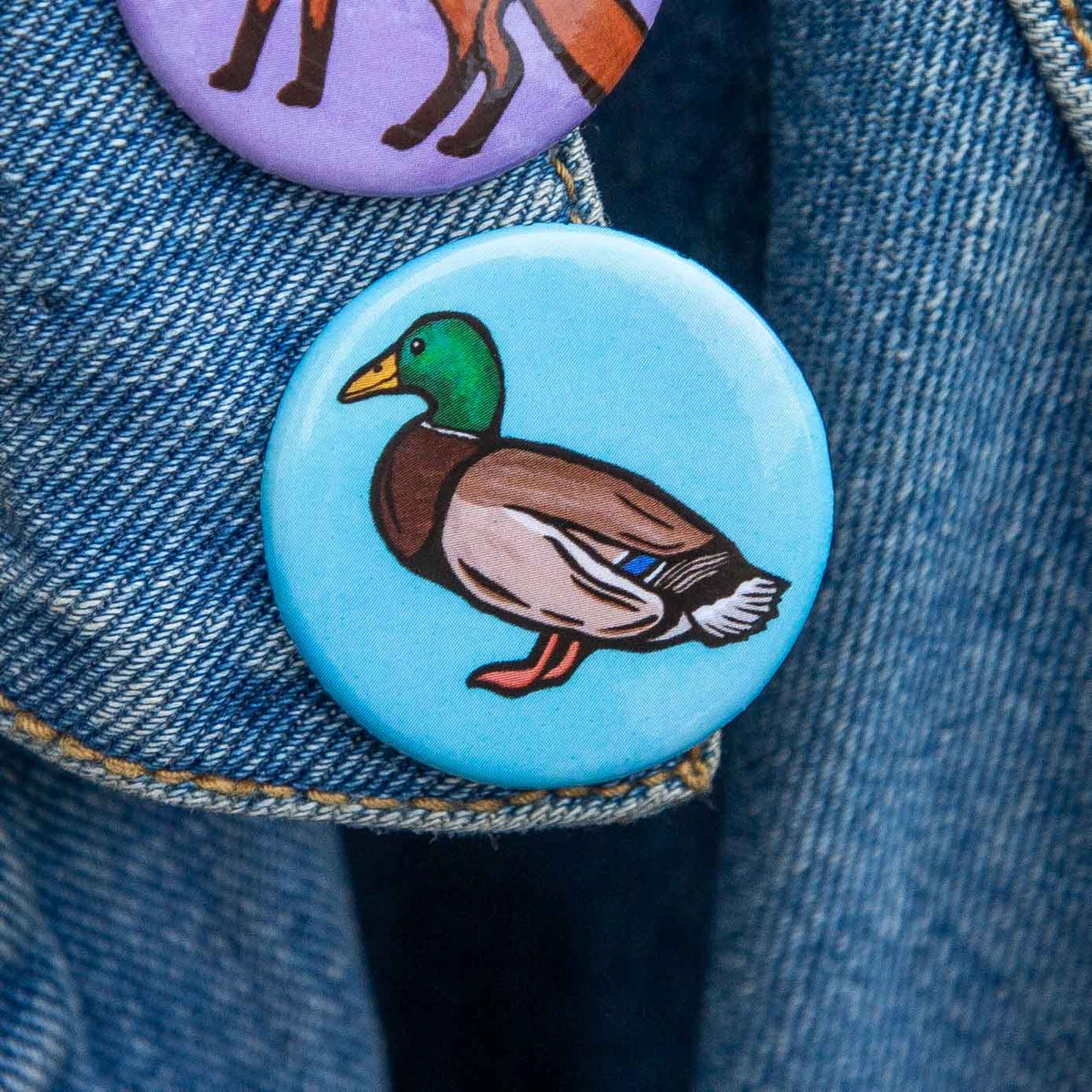 A close-up of a round pinback button badge featuring a painted mallard duck on a light blue background, worn on a denim jacket alongside another partially visible badge.