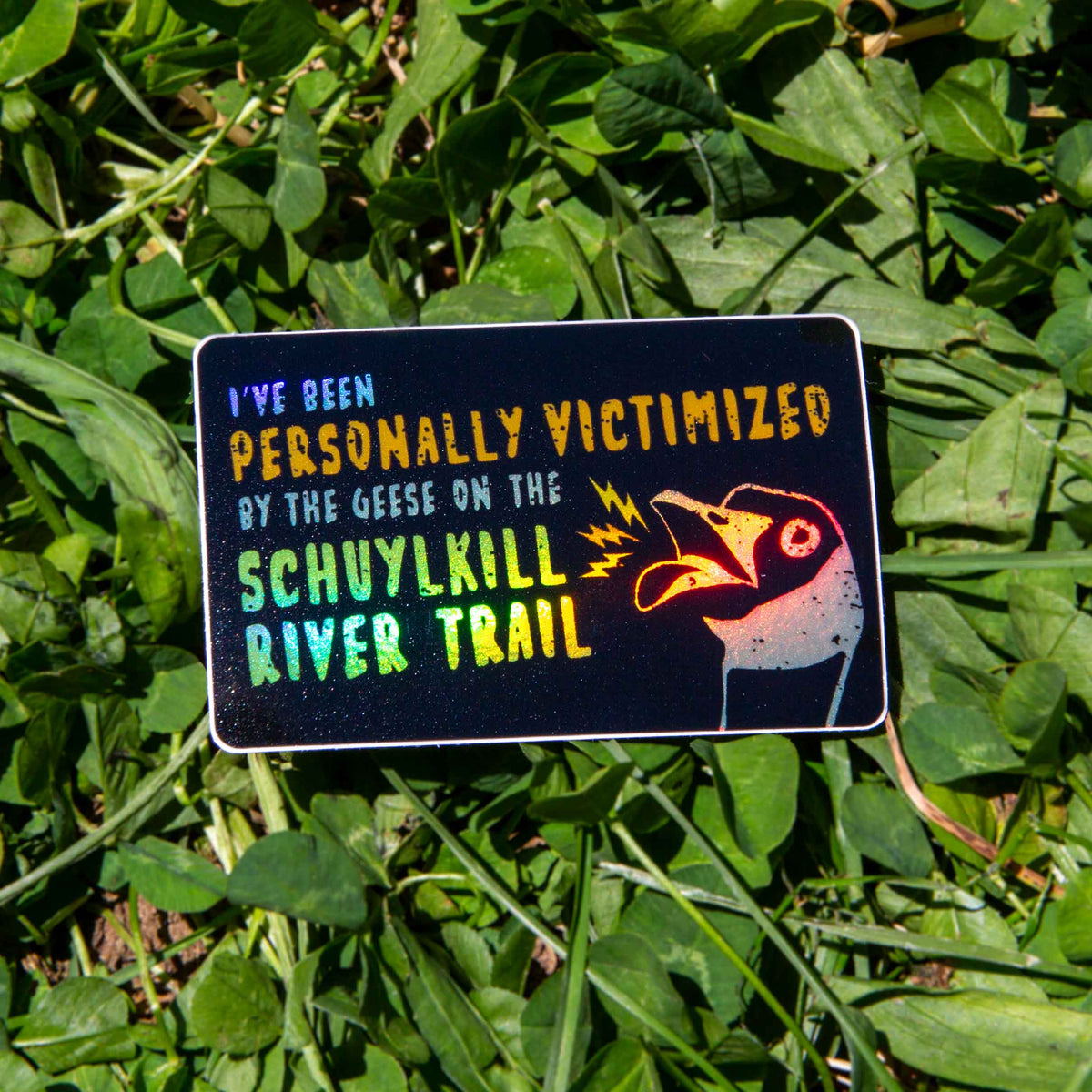 Sticker with text saying "I've been personally victimized by the geese on the Schuylkill River Trail" with a goose hissing. Stick is on grass.