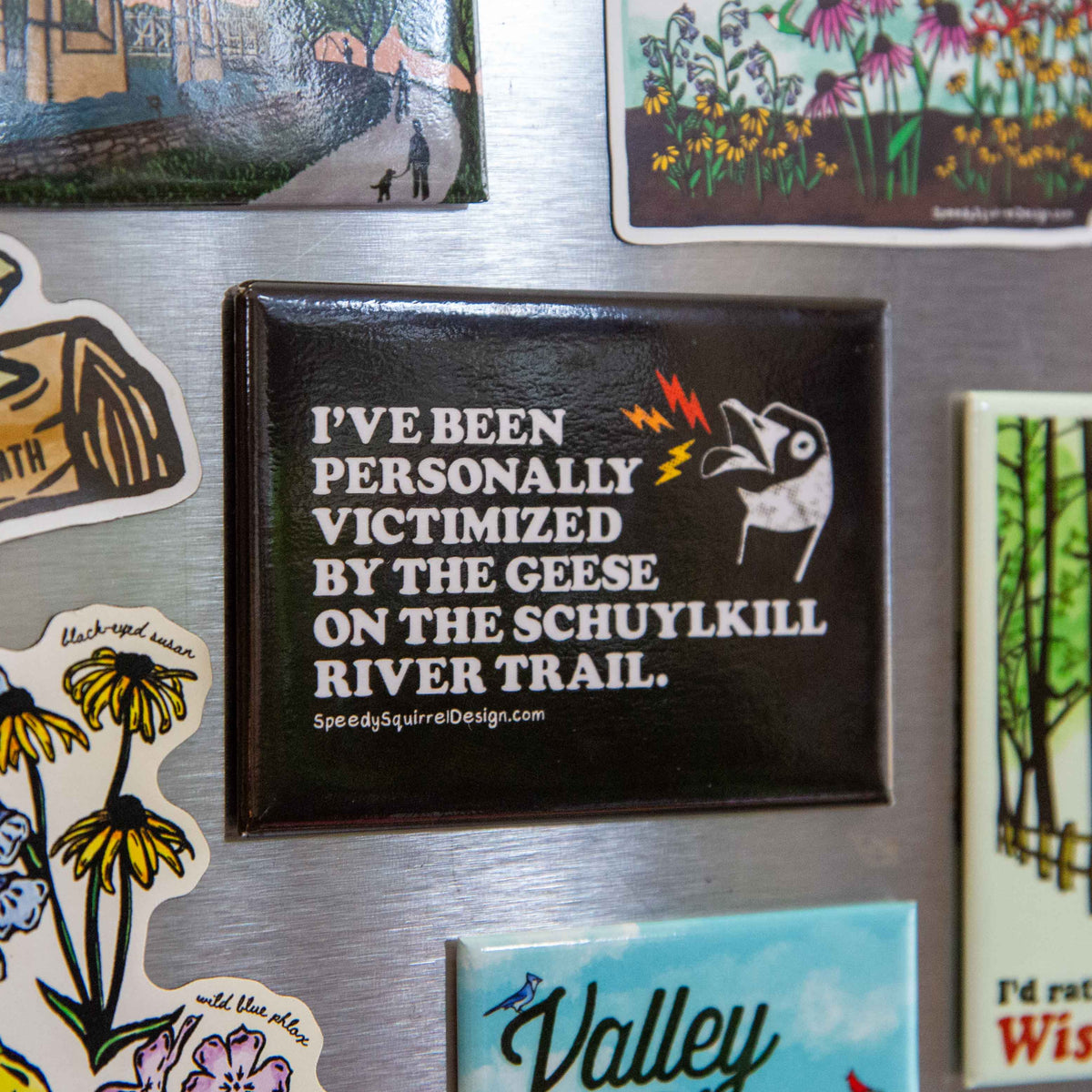 A black rectangular fridge magnet with text 'I've been personally victimized by the geese in the Schuylkill River Trail, featuring a goose illustration and small red and yellow lightning accents, placed on a brushed metal surface, surrounded by other colorful magnets.