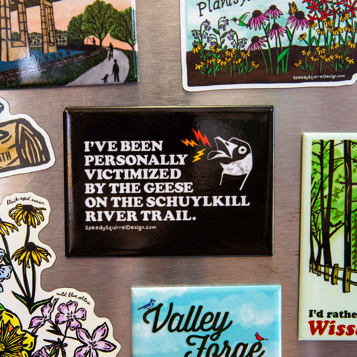 A black rectangular fridge magnet with text 'I've been personally victimized by the geese in the Schuylkill River Trail, featuring a goose illustration and small red and yellow lightning accents, placed on a brushed metal surface, surrounded by other colorful magnets.
