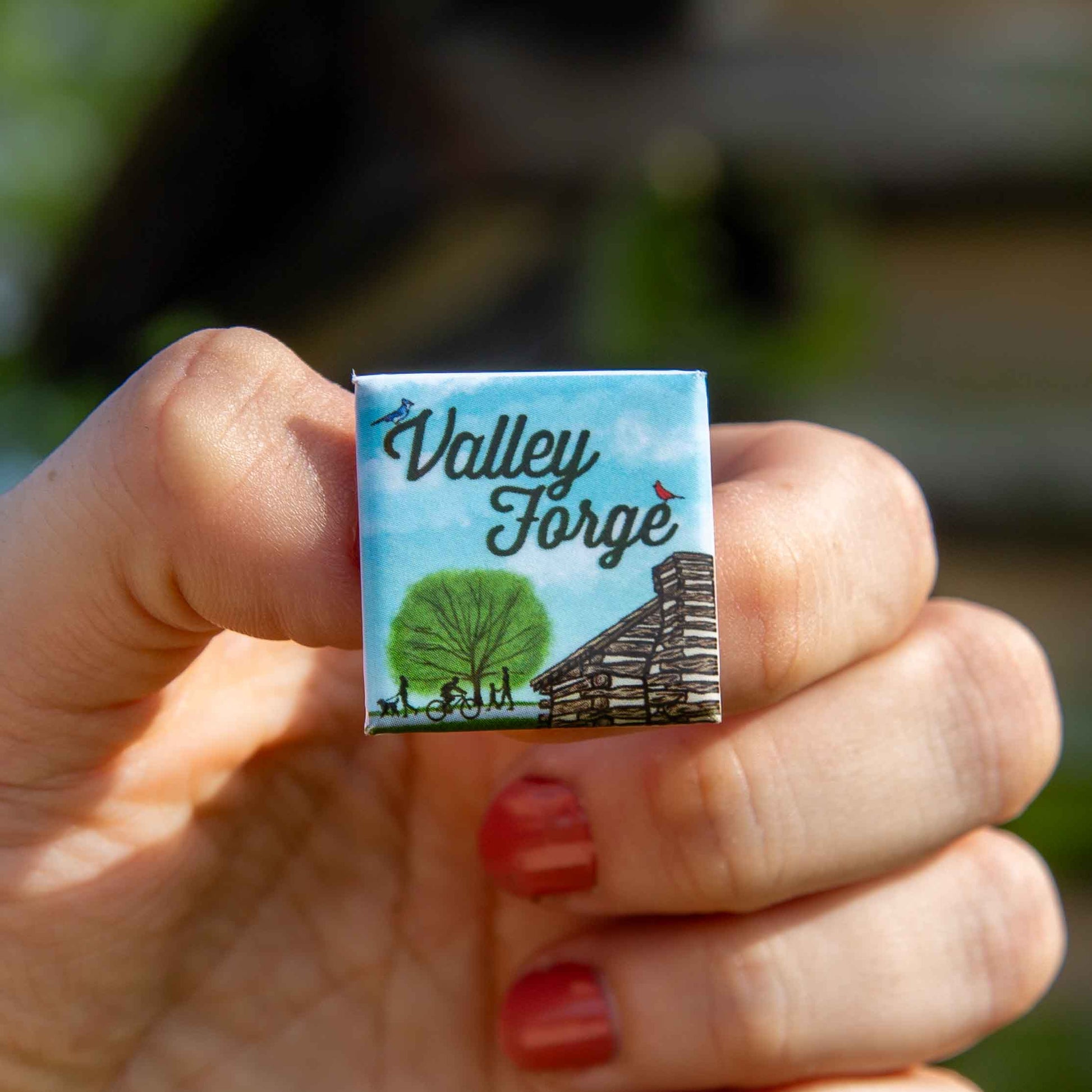 Hand holding a 'Valley Forge' pin design against a blurred natural background