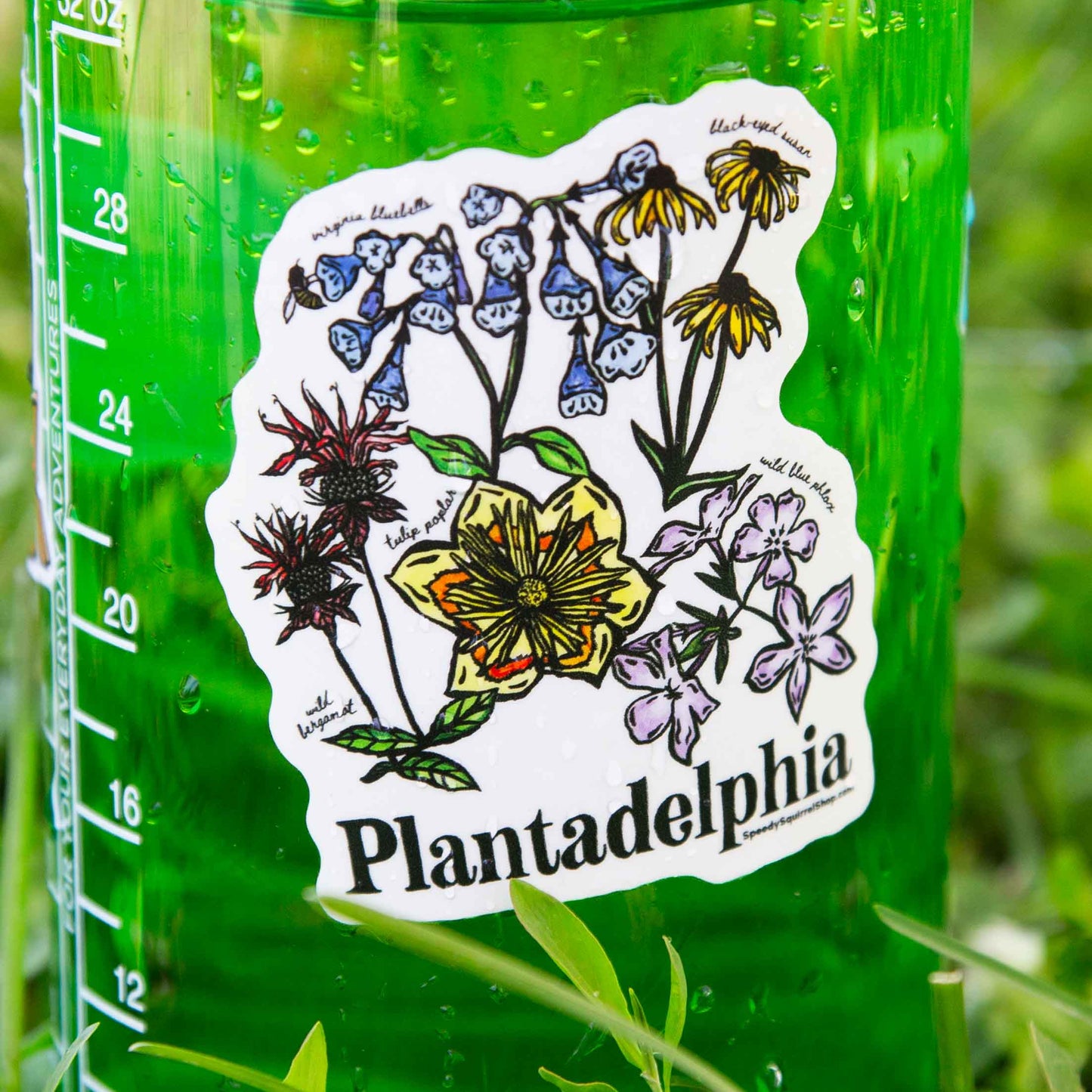 Green water bottle with a floral sticker labeled 'Plantadelphia' on grass.