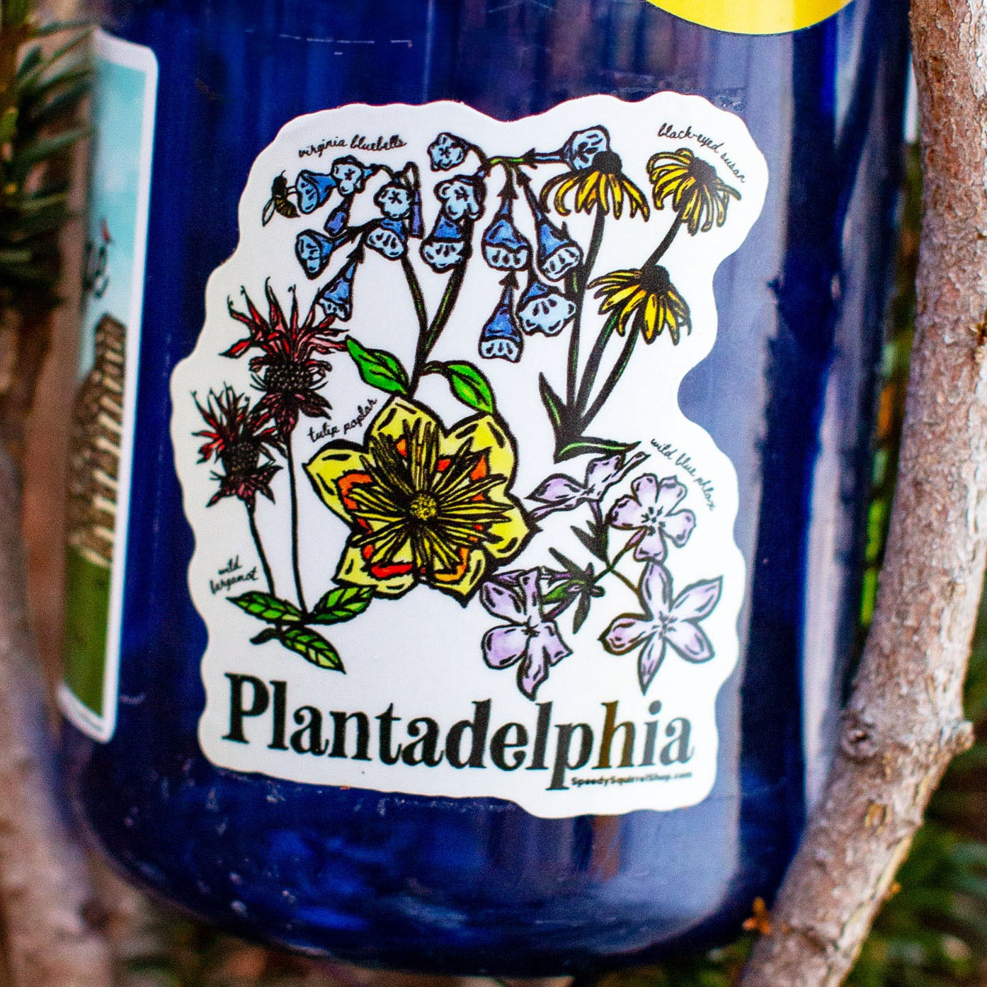 'Plantadelphia' text and floral designs on a blue water bottle