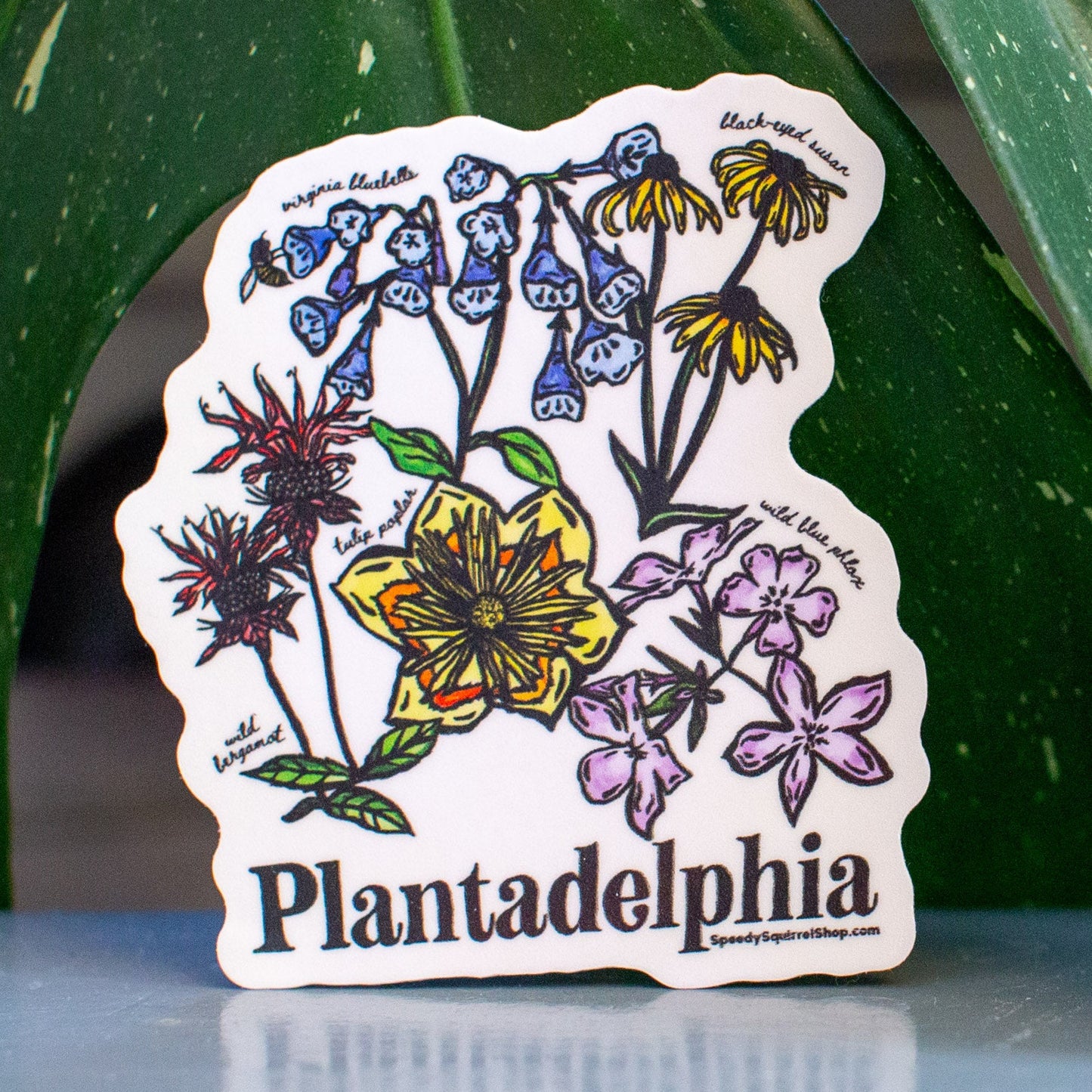 Sticker with colorful floral design and 'Plantadelphia' text with green leaves in the background.